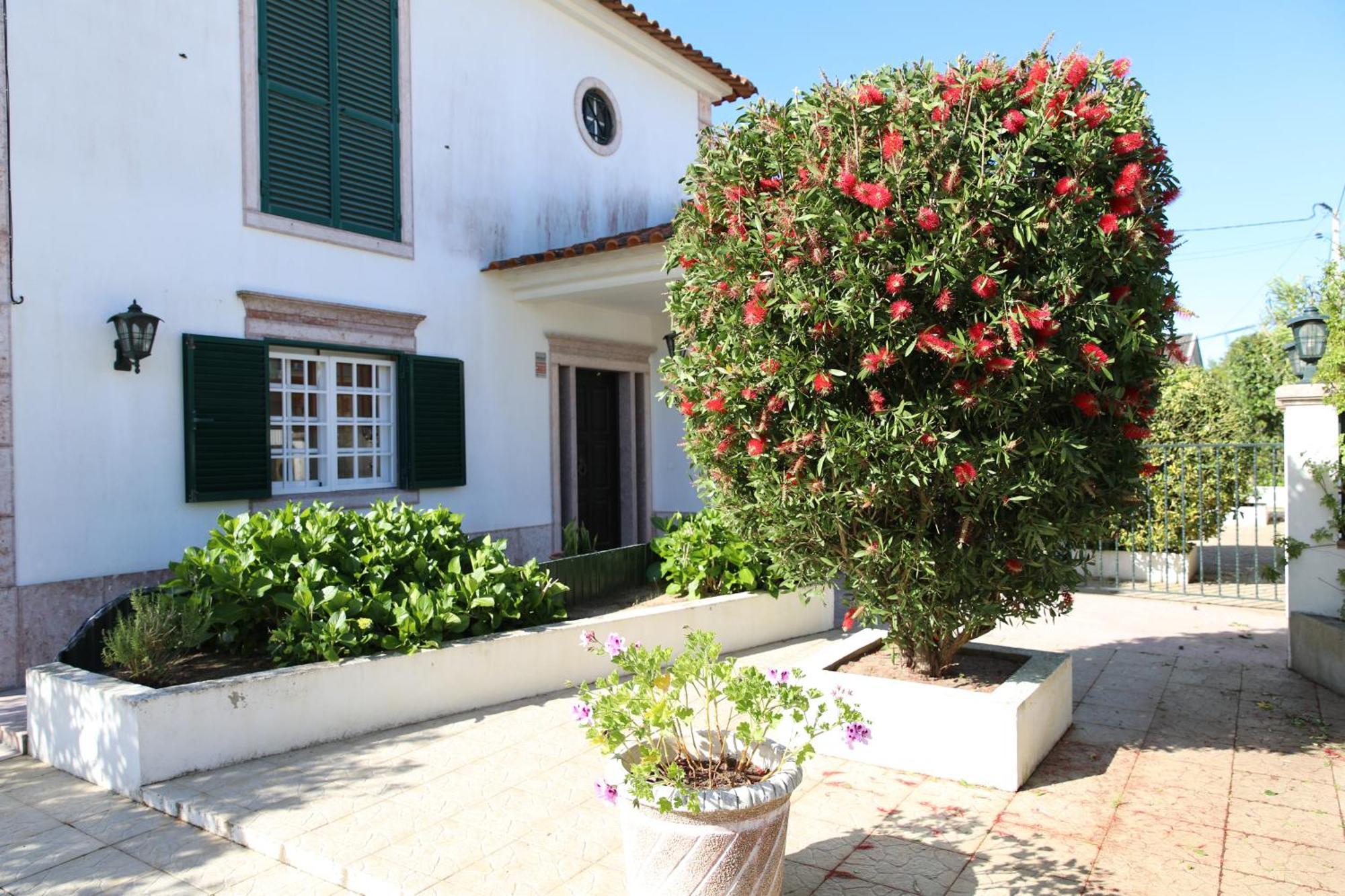 Casa Vista Arrabida Cotovia